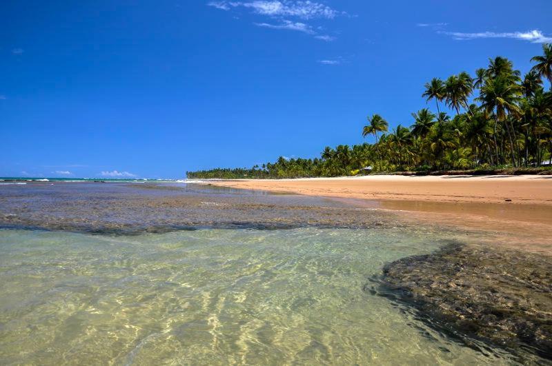 Flat Barra Mar Leilighet Barra Grande  Eksteriør bilde